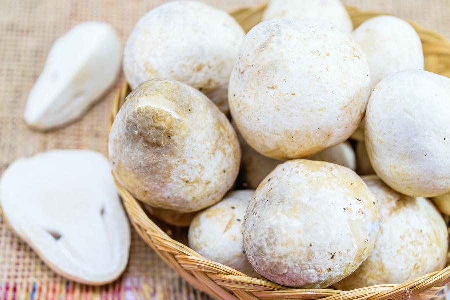 Nấm rơm sấy thăng hoa 100gr - Yersin Farm